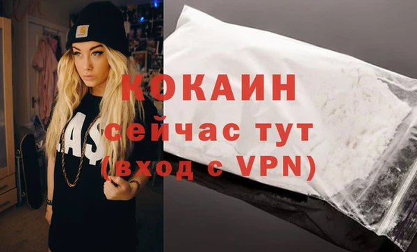 ГАЛЛЮЦИНОГЕННЫЕ ГРИБЫ Рославль