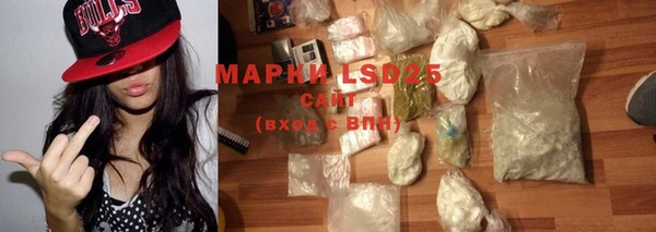 ПСИЛОЦИБИНОВЫЕ ГРИБЫ Сатка
