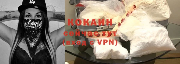 ГАЛЛЮЦИНОГЕННЫЕ ГРИБЫ Рославль