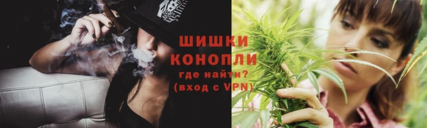 молекула духа Ростов