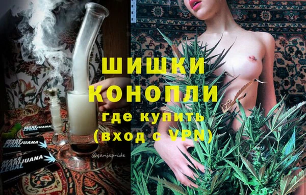 ГАЛЛЮЦИНОГЕННЫЕ ГРИБЫ Рославль
