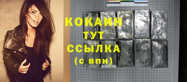 ГАЛЛЮЦИНОГЕННЫЕ ГРИБЫ Рославль